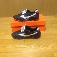 モレリア2  25cmのサムネイル