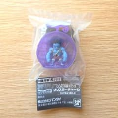 ワンピの実ミクロ　ブリスターチャーム シークレットのサムネイル