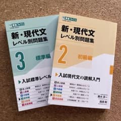 新・現代文レベル別問題集 2初級編 3標準編 2冊セットのサムネイル