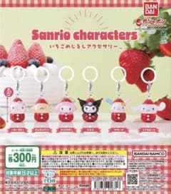 サンリオいちごめじるしアクセサリー 全6種 コンプリートのサムネイル