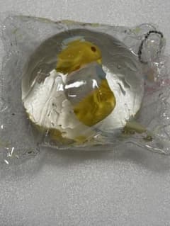 MoMo 海洋シリーズ　タツノオトシゴのサムネイル