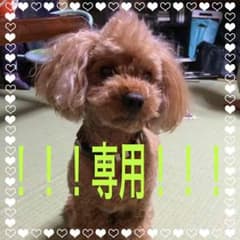 maron   様専用！！！のサムネイル