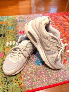 【中古】Nike Air Max グレー 25cmのサムネイル