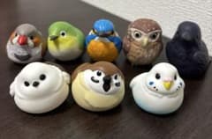 てのりフレンズとガチャガチャの鳥セットのサムネイル