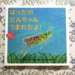 ばったのたんちゃん うまれたよ！ 絵本のサムネイル