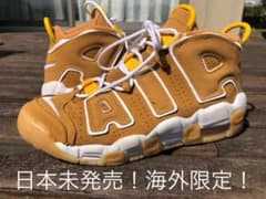 日本未発売！海外限定！激レア！Nike more uptempo モアテンのサムネイル
