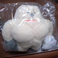 新品 サンエックス ムキッとわんトリオ 希少 ぬいぐるみ キャラクター