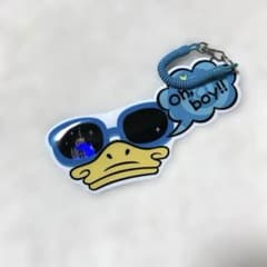 도널드 덕 패스 케이스