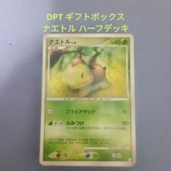 ポケモンカードゲーム ギフトボックス DPT ハーフデッキ ナエトル 帯付き ポケモンカードゲーム ギフトボックス DPT ハーフデッキ ナエトル 帯