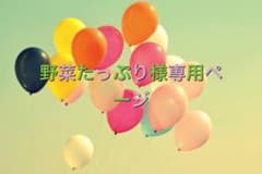 野菜たっぷり様専用ページのサムネイル