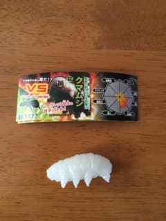 昆虫最強王図鑑 シークレット クマムシのサムネイル
