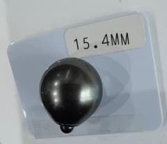 大珠！指輪やネックレスに！！未使用タヒチ南洋パール 直径15.4mm 