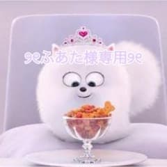 ୨୧ふあた様専用୨୧のサムネイル