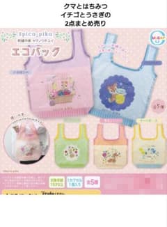 기간 한정 가격 인하 ✩*˚ 자수 작가 Spica-pika 에코 백 뽑기 2종 세트