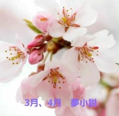 벚꽃 떡 님 전용 2026년 3월, 4월 꿈 소설