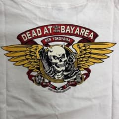 Ken Yokoyama Hi-STANDARD BRAHMAN 호르몬
