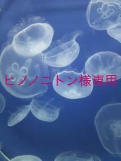 ヒノノニトン様専用！のサムネイル