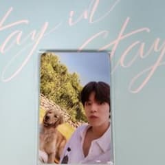 straykids 済州島のサムネイル