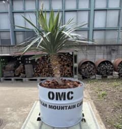 OMC ドラム缶 取手付プランター 半切 - メルカリ