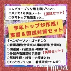 大人気☆国試・実習資料セット←1年生にもOK♪のサムネイル
