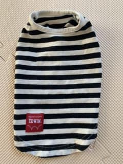 犬の服のサムネイル