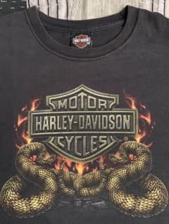 00s XL ハーレー vtg Tシャツ スネーク フレイム 蛇 harley 00s XL ハーレー vtg Tシャツ スネーク フレイム 蛇 harley - メルカリ