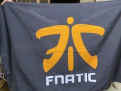FNATIC ロゴサポーターバナーのサムネイル