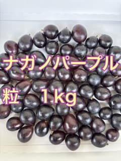 ナガノパープル　粒のサムネイル