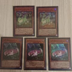 遊戯王 未界域のジャッカロープ ツチノコ セットのサムネイル
