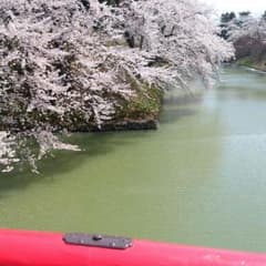 みやび様専用☆のサムネイル