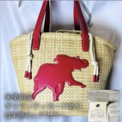 希少品】2023年購入の限定レアカラーHUNTING WORLDカゴバック - メルカリ