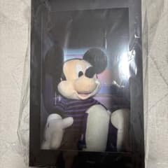 ジャック・オ・蘭たん ディズニー ヴィレッジヴァンガード ぬいぐるみ