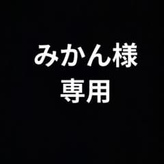 みかん様 リクエスト 3点 まとめ商品のサムネイル