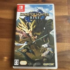 Switch 몬스터 헌터 라이즈 동작 확인 완료