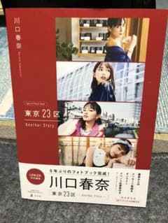 川口春奈　写真集　東京23区のサムネイル