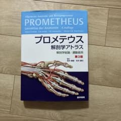 プロメテウス解剖学アトラス 解剖学総論／運動器系 第3版のサムネイル
