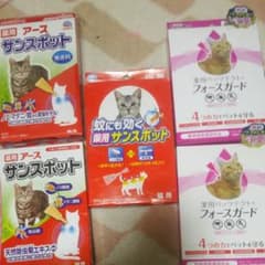 5月5日までのお値段、猫用薬用サンスポット3回入5個のサムネイル