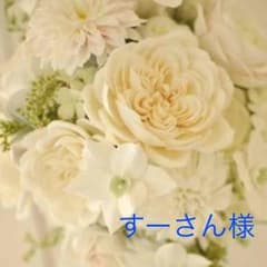すーさん様 ダイナソープロジェクト DVDのサムネイル
