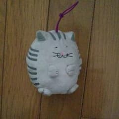 でぶねこのサムネイル