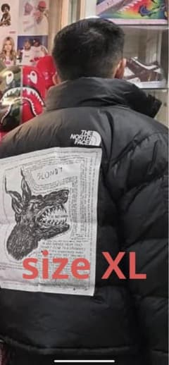 The North Face × Supreme ダウンジャケットのサムネイル