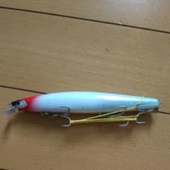 サイレントアサシン129s  シーバスヒラメのサムネイル