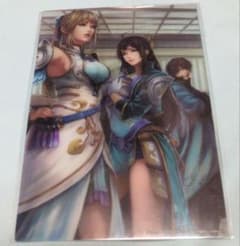 真・三國無双 王元姫 ブロマイドカード KT カフェ 限定 真・三國無双 KTカフェ コラボ 限定 王元姫 辛憲英 鍾会 クリアカード