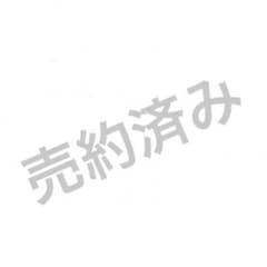 あまたさま専用のサムネイル