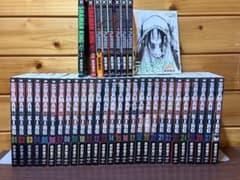 シャーマンキング　完全版　全巻セット＋マンタリテ　バラ売り不可 シャーマンキング完全版全巻＋ゼロ＋フラワーズ セット マンキン