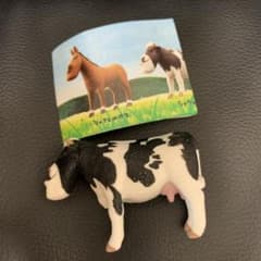 シャクレルウシのサムネイル