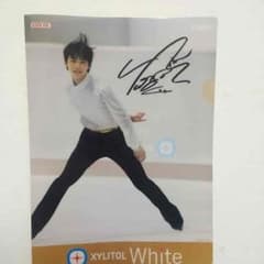 羽生結弦 クリアファイルのサムネイル