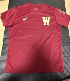 超貴重】早稲田大学 バレーボール部 Tシャツ L - メルカリ