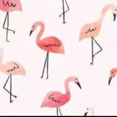 あゆちゃん様専用のサムネイル