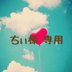 ちぃ様 ＊ 専用のサムネイル