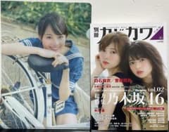 カドカワ総力特集乃木坂46 vol.02 生田絵梨花のクリアファイル付きのサムネイル